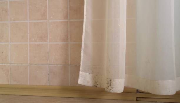 Best Mold-Related Health Consultation  in Creswell, OR