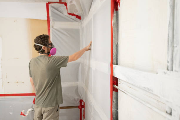 Forensic Mold Investigation in Creswell, OR