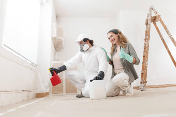 Best Mold Remediation for Healthcare Facilities  in Creswell, OR