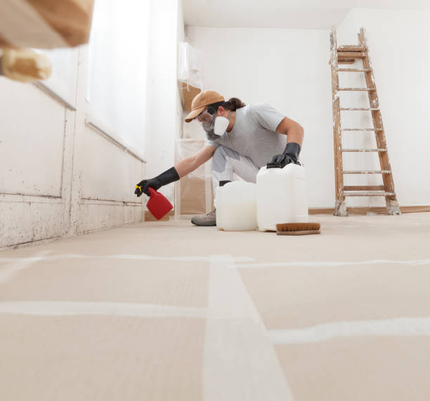 Best Real Estate Mold Inspection  in Creswell, OR