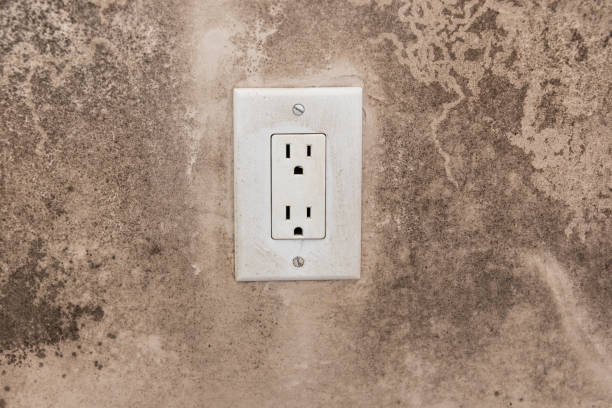 Best Mold Damage Restoration  in Creswell, OR